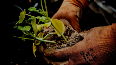 jonathan-kemper-CbZh3kaPxrE-unsplash